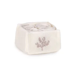 Set 4 Lavette Corallo Di Daunex In Spugna 300 Gr/mq J773 10 Set 4 Lavette Corallo Di Daunex In Spugna 300 Gr/mq J773 -Articoli Per La Casa set 4 lavette corallo di daunex in spugna 300 grmq naturale 1