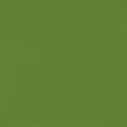 Tessuto Impermeabile Da Esterno Al Metro Sirio Multiuso Tinta Unita Y498 -Articoli Per La Casa tessuto impermeabile al metraggio sirio verde chiaro 2